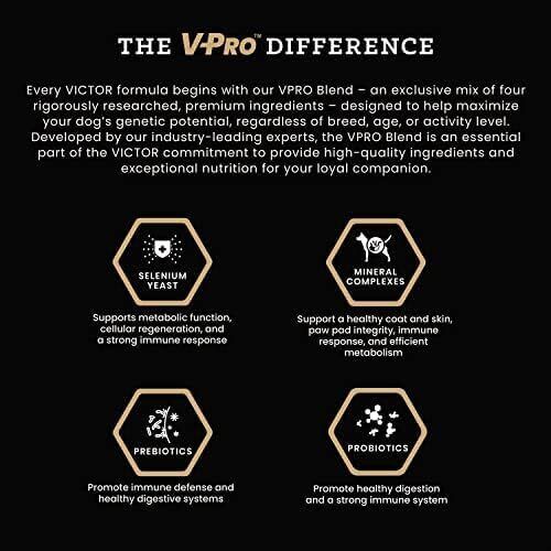 VICTOR Super Premium Dog Food – Select Ocean Fish Formula with Salmon – Omega-3 and Omega-6 Enriched Gluten-Free Dry Kibble for All Normally Active Dogs of All Life Stages, 15lbs : Pet Supplies