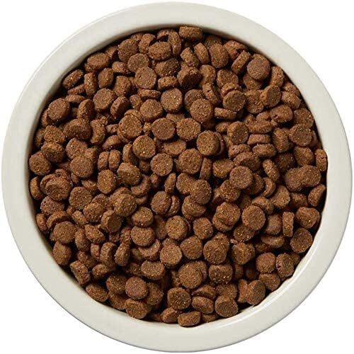 Wag Dry Dog Food Salmon & Sweet Potato, Grain Free 24 lb Bag