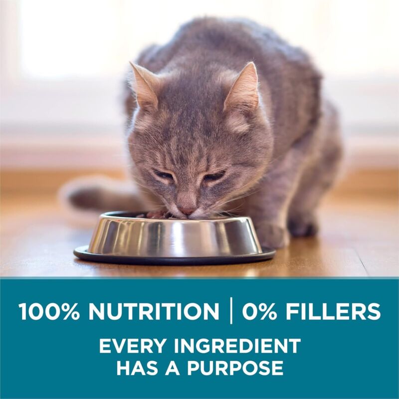 Purina ONE Natural Dry Cat Food, Tender Selects Blend With Real Chicken - 22 lb. Bag : Dry Pet Food : Pet Supplies