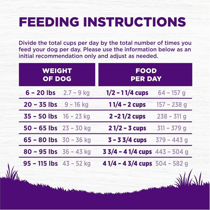 Wellness Complete Health Dry Dog Food, Wholesome Grains, Natural, Whitefish & Sweet Potato, (5-Pound Bag) : Pet Supplies