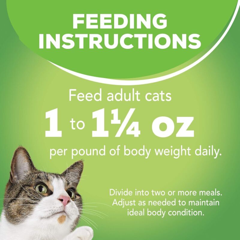 Purina Friskies Indoor Cat Food 24ct VP - (Chicken and Turkey Casserole, Saucy Seafood Bake, Homestyle Turkey Dinner) - (Pack of 24) 5.5 oz. Cans : Pet Supplies