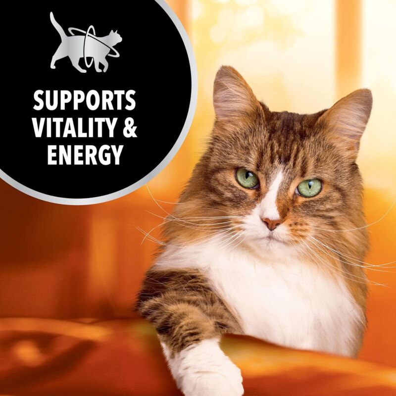 IAMS Advanced Health Immune Health Salmon and Chicken Adult Dry Cat Food, 7 lb.