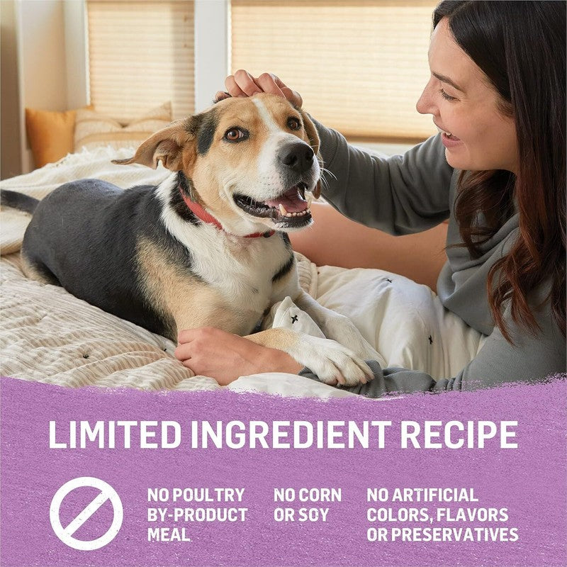 Purina Beyond Turkey and Green Bean in Gravy Natural Grain Free Wet Dog Food with Added Vitamins and Minerals - (Pack of 12) 12.5 oz. Cans: Pet Supplies: Amazon.com