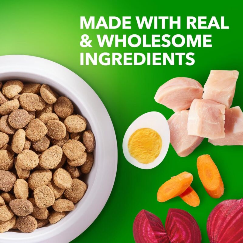 IAMS Proactive Health Healthy Aging Large Breed Dog Food for Mature and Senior Dogs with Real Chicken, 30 lb. Bag : Pet Supplies
