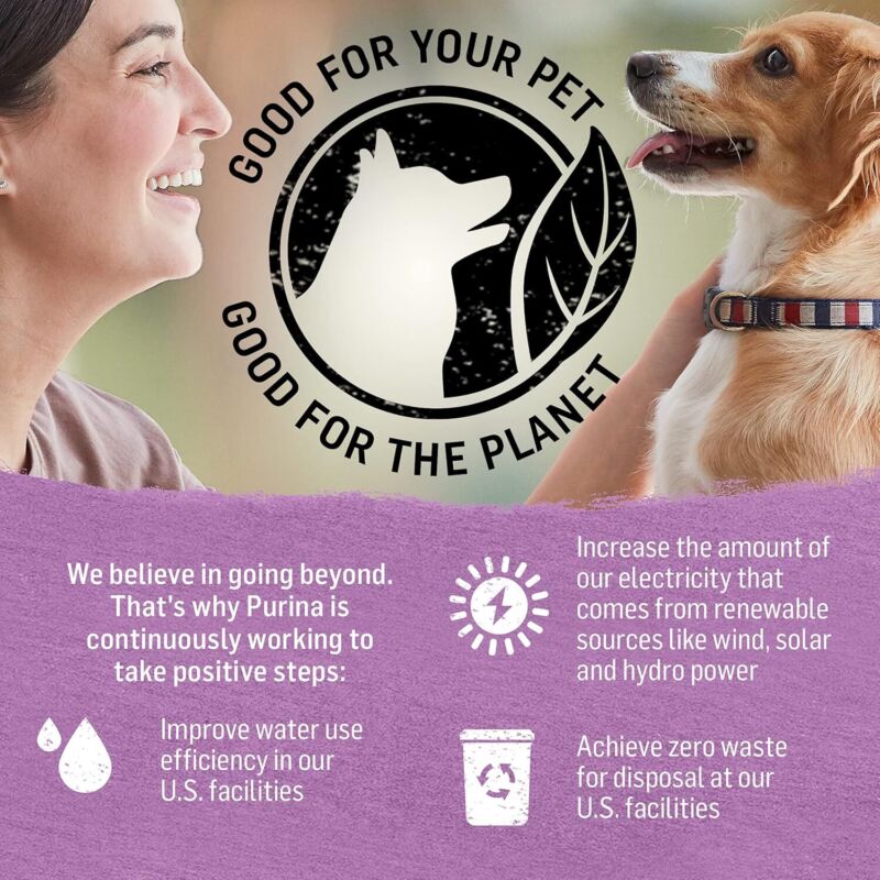 Purina Beyond Turkey and Green Bean in Gravy Natural Grain Free Wet Dog Food with Added Vitamins and Minerals - (Pack of 12) 12.5 oz. Cans: Pet Supplies: Amazon.com