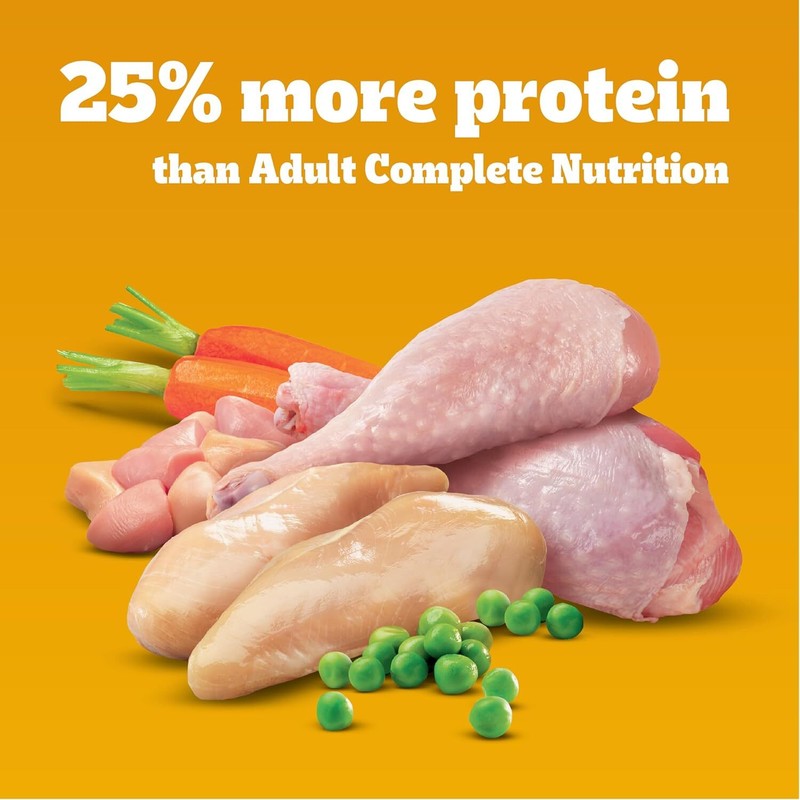 PEDIGREE High Protein Adult Dry Dog Food Chicken and Turkey Flavor Dog Kibble, 3.5 lb. Bag : Pet Supplies