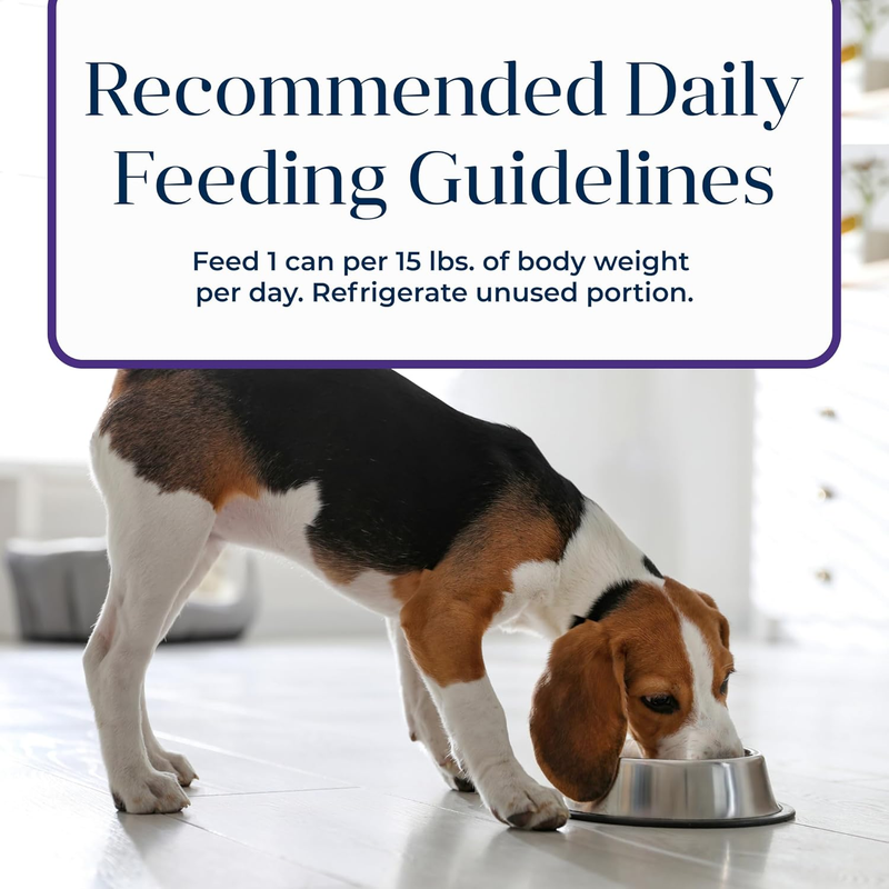 Blue Buffalo Basics Grain-Free Senior Wet Dog Food, Skin & Stomach Care, Limited Ingredient Diet, Turkey Recipe, 12.5-oz. Cans, 12 Count: Pet Supplies: Amazon.com