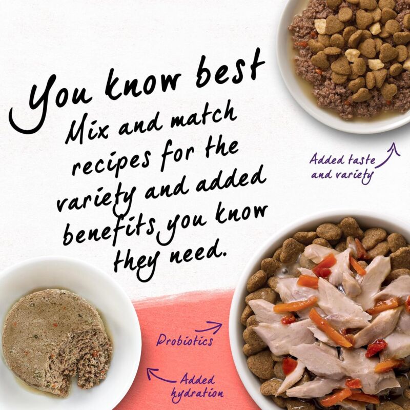 Purina Beyond Natural Grain Free Dry Cat Food Simply Indoor Salmon, Egg and Sweet Potato Recipe - 3 lb. Bag : Pet Supplies