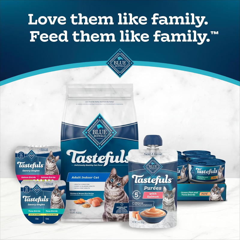 Blue Buffalo Basics Adult Dry Dog Food for Skin & Stomach Care, Limited Ingredient Diet, Made in the USA with Natural Ingredients, Salmon & Potato Recipe, 11-lb. Bag