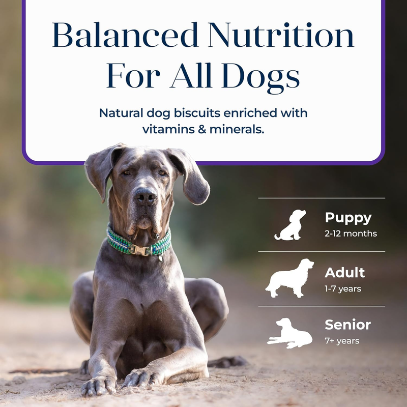 Blue Buffalo Basics Dog Biscuits, Skin & Stomach Care Crunchy Dog Treats, Turkey Recipe, 6-oz Bag : Edible Pet Treats : Pet Supplies