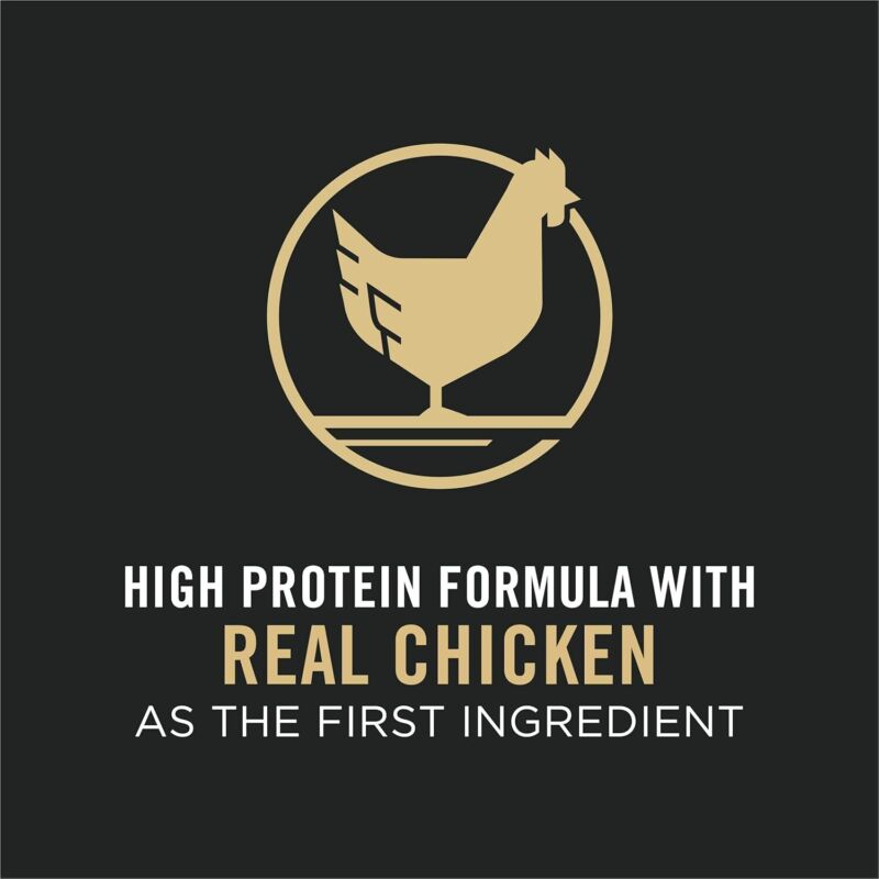 Purina Pro Plan LiveClear Dry cat Food for Kittens Cat Allergen Reducer Chicken and Rice Formula - 5.5 lb. Bag : Pet Supplies