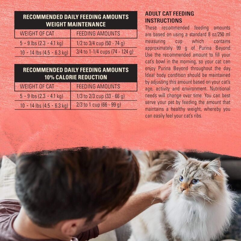Purina Beyond Natural Grain Free Dry Cat Food Simply Indoor Salmon, Egg and Sweet Potato Recipe - 3 lb. Bag : Pet Supplies