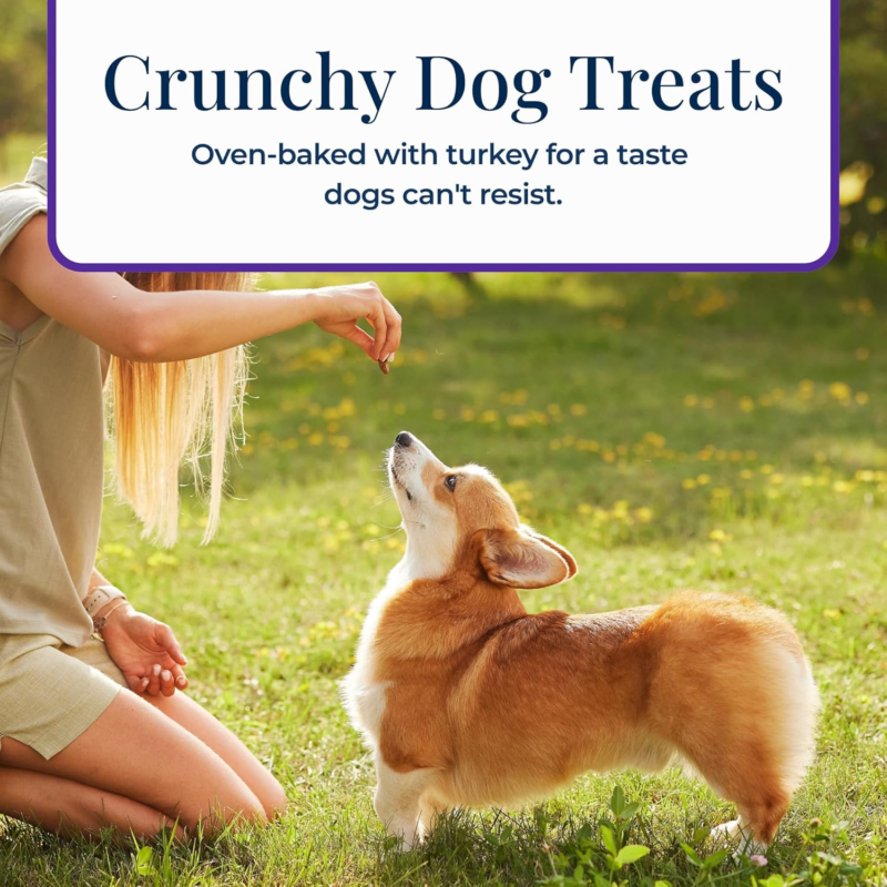 Blue Buffalo Basics Dog Biscuits, Skin & Stomach Care Crunchy Dog Treats, Turkey Recipe, 6-oz Bag : Edible Pet Treats : Pet Supplies