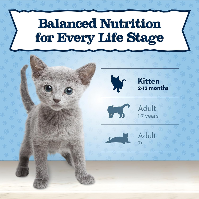 Blue Buffalo Baby Blue Natural Grain-Free Wet Food for Kittens, Healthy Growth Formula with DHA, High-Protein Salmon Paté, 3 oz Can