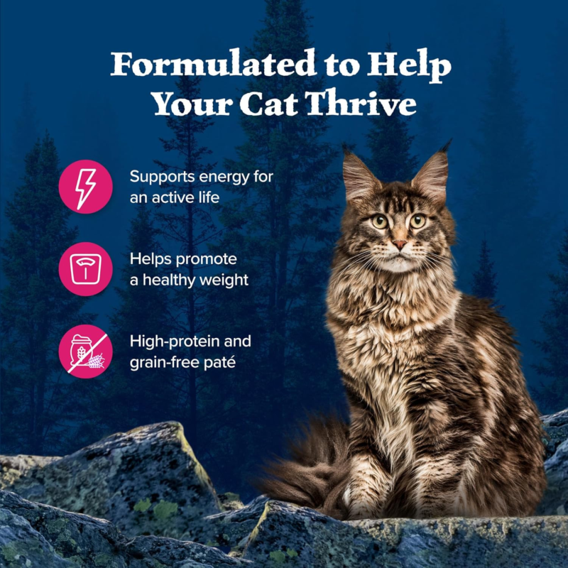 Blue Buffalo Wilderness Natural High-Protein Grain-Free Wet Food for Adult Cats, Salmon Paté, 3-oz. Cans, 24 Count
