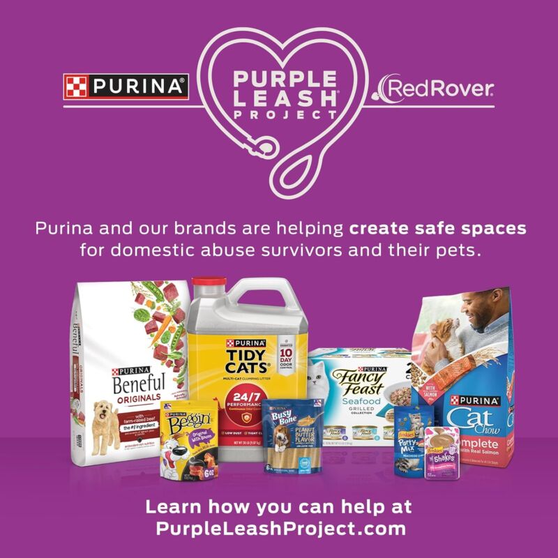 Purina Fancy Feast Grilled Wet Cat Food Seafood Collection in Wet Cat Food Variety Pack - (Pack of 24) 3 oz. Cans : Canned Wet Pet Food : Pet Supplies