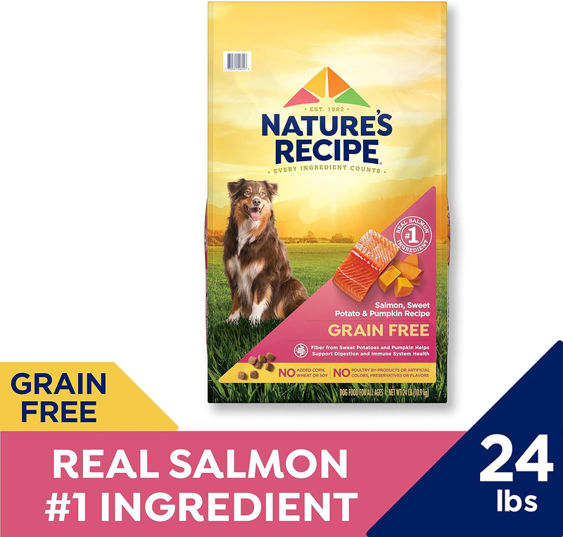Nature’s Recipe Grain Free Salmon, Sweet Potato & Pumpkin Recipe Dry Dog Food, 24 lb. Bag : Pet Supplies
