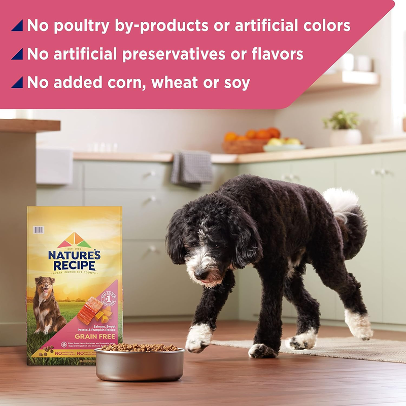 Nature’s Recipe Grain Free Salmon, Sweet Potato & Pumpkin Recipe Dry Dog Food, 24 lb. Bag : Pet Supplies