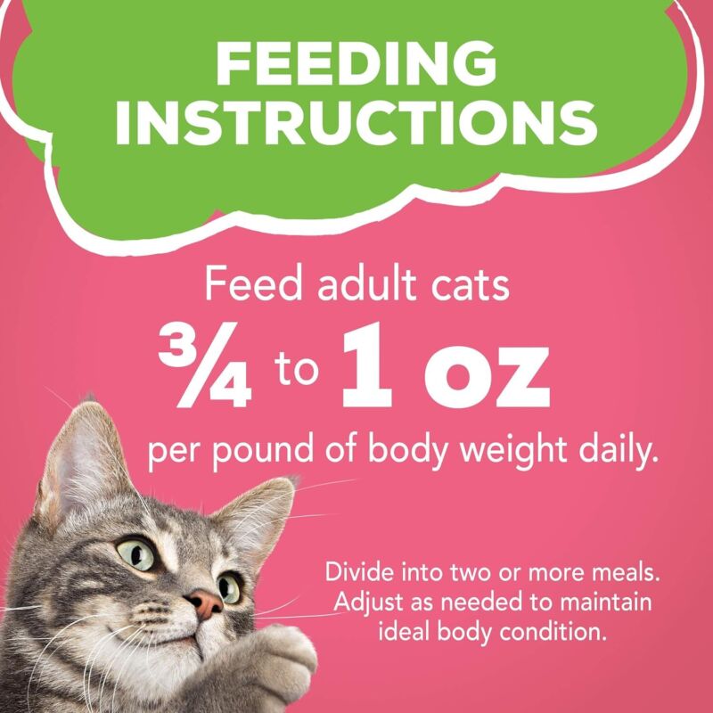Purina Friskies Wet Cat Food Pate, Pate Salmon Dinner - (Pack of 24) 5.5 oz. Cans : Canned Wet Pet Food : Pet Supplies