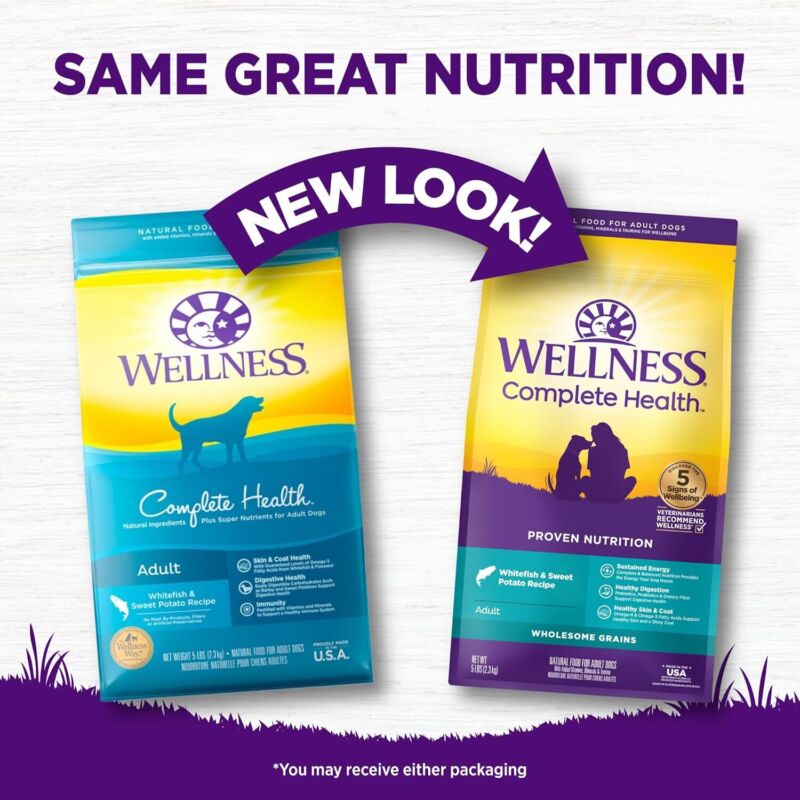 Wellness Complete Health Dry Dog Food, Wholesome Grains, Natural, Whitefish & Sweet Potato, (5-Pound Bag) : Pet Supplies
