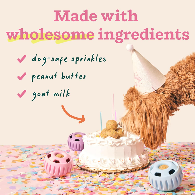 WOOF Pupsicle Birthday Pops - Healthy Dog Treats - Pre-Made Pupsicle Refills- Wholesome Ingredients - Naturally Sweet - Cake-Flavored Birthday Treat for Dogs - Large : Pet Supplies