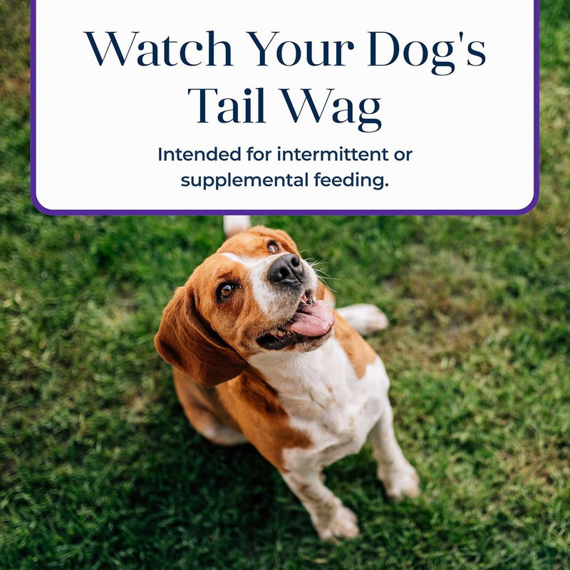 Blue Buffalo Basics Dog Biscuits, Skin & Stomach Care Crunchy Dog Treats, Turkey Recipe, 6-oz Bag : Edible Pet Treats : Pet Supplies
