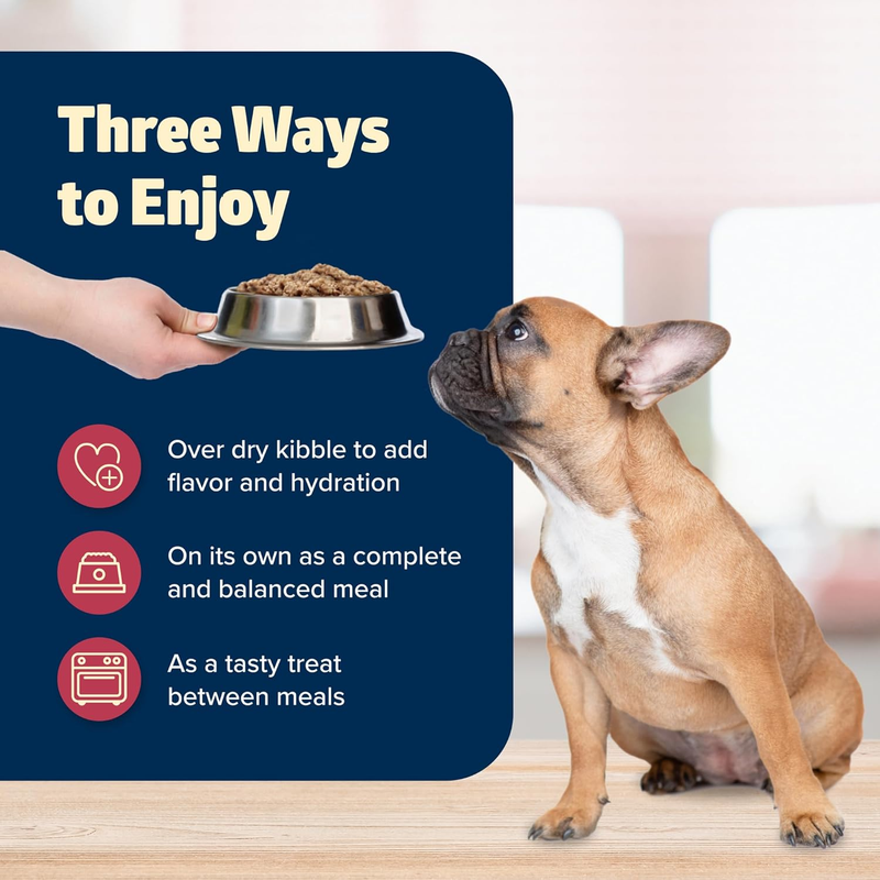 Blue Buffalo Freedom Grain-Free Small Breed Wet Dog Food, Supports High Energy Needs, Made in the USA With Natural Ingredients, Chicken, 5.5-oz Cans ( 24 Count): Wet Pet Food: Pet Supplies: Amazon.com