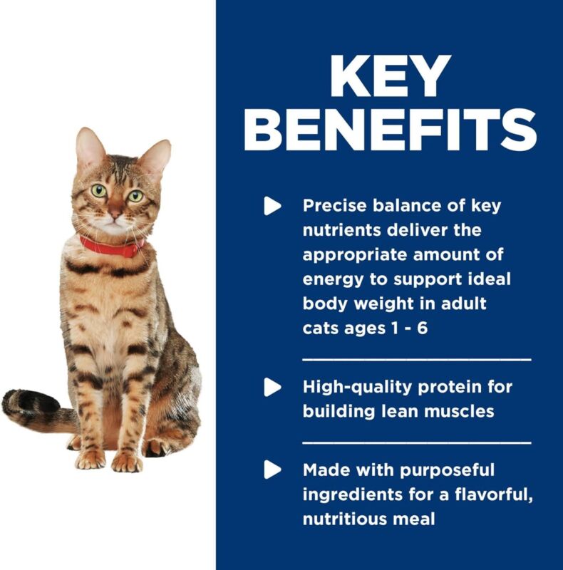 Hill's Science Diet Healthy Cuisine, Adult 1-6, Great Taste, Wet Cat Food, Roasted chicken & Rice Stew, 2.8 oz Can, Case of 24 : Pet Supplies