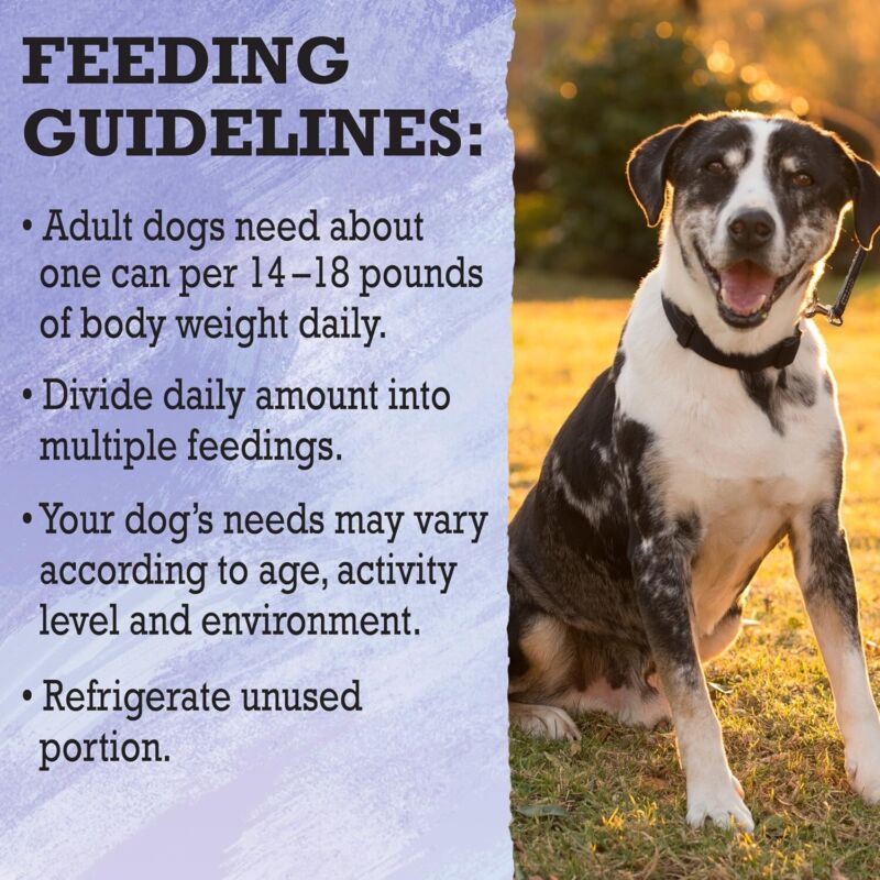 Purina Beyond High Protein, Grain Free, Natural Pate Wet Dog Food, WILD Turkey, Liver & Duck Recipe - (Pack of 12) 13 oz. Cans: Pet Supplies: Amazon.com