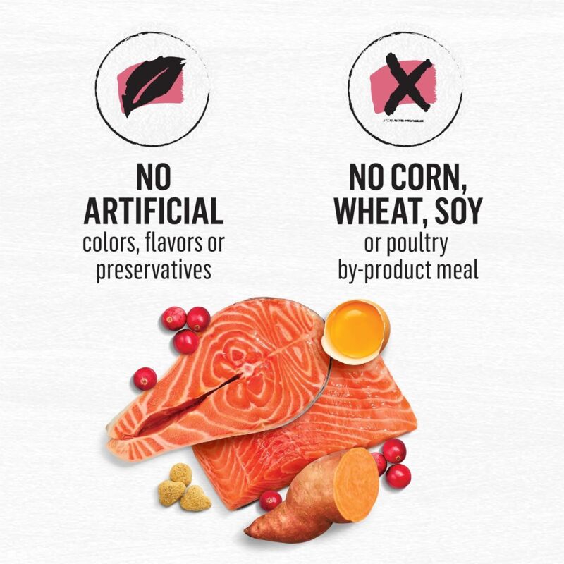 Purina Beyond Natural Grain Free Dry Cat Food Simply Indoor Salmon, Egg and Sweet Potato Recipe - 3 lb. Bag : Pet Supplies