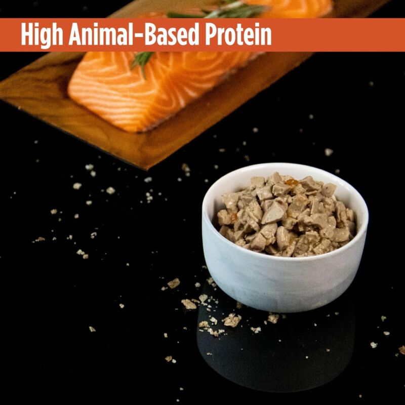 Nulo Freestyle Salmon & Turkey Minced Wet Canned Cat Food, 3 Ounce (Pack of 24) : Pet Supplies