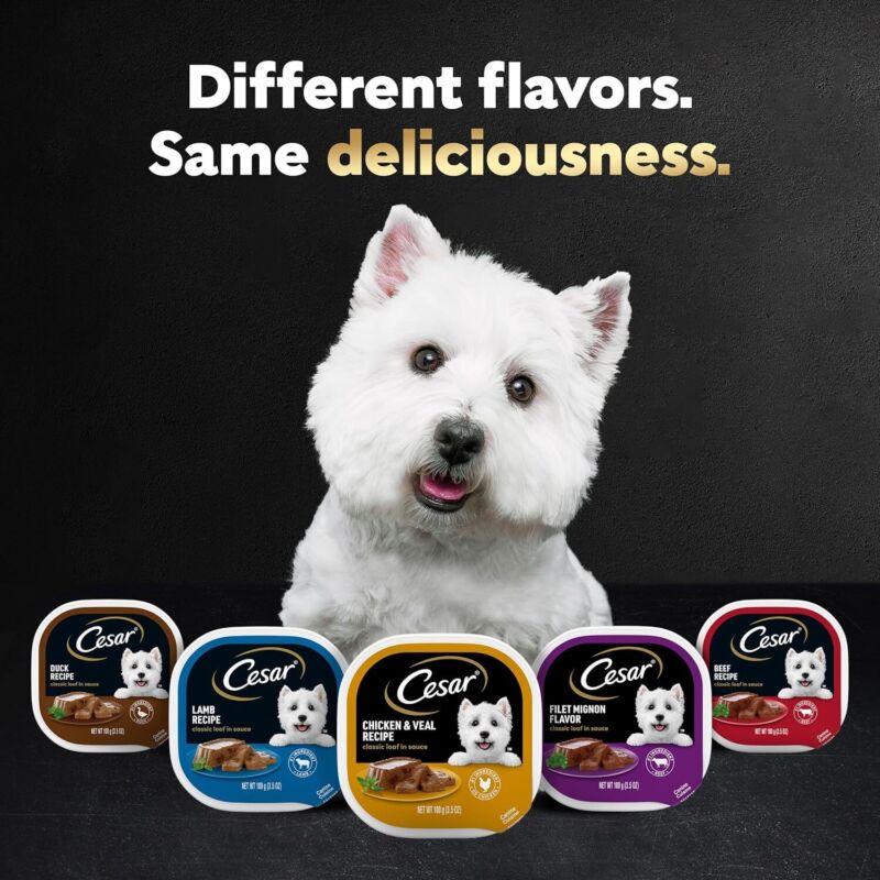 CESAR Adult Soft Wet Dog Food Steak Lovers Variety Pack with Real Meat, (24) 3.5 oz. Trays: Pet Supplies: Amazon.com