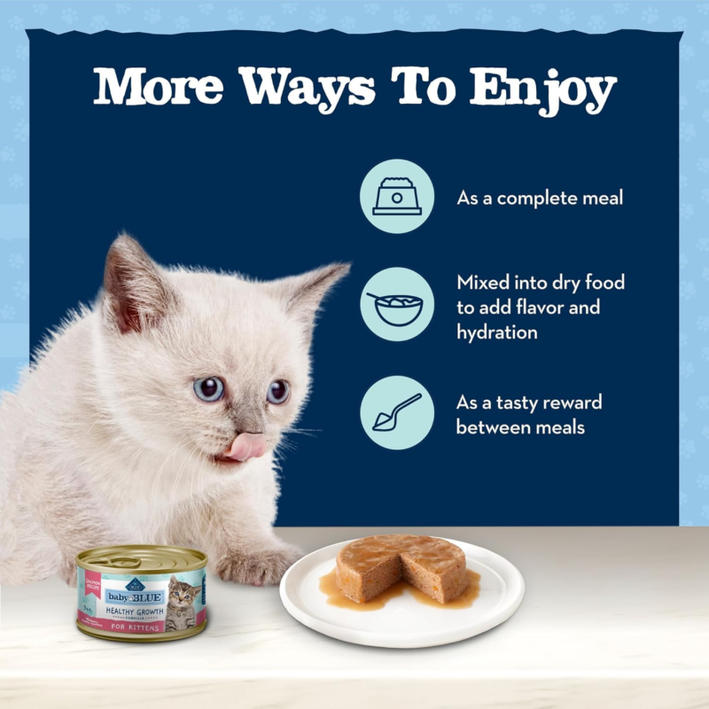 Blue Buffalo Baby Blue Natural Grain-Free Wet Food for Kittens, Healthy Growth Formula with DHA, High-Protein Salmon Paté, 3 oz Can
