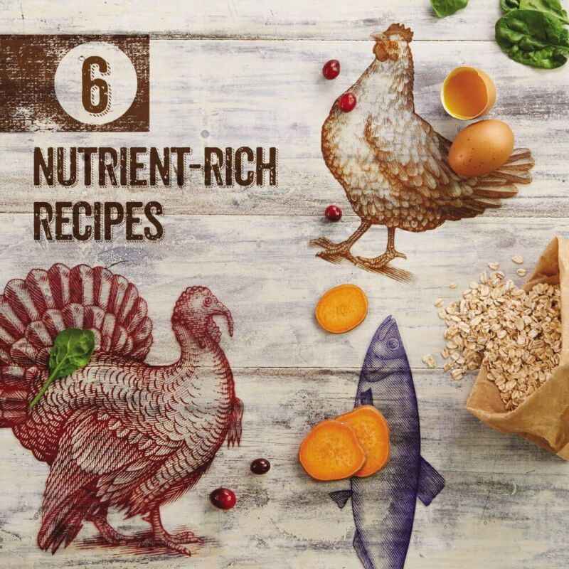 Purina Beyond Grain Free White Meat Chicken and Egg Recipe Natural Cat Food High Protein Cat Food Dry Formula - 5 lb. Bag : Pet Supplies