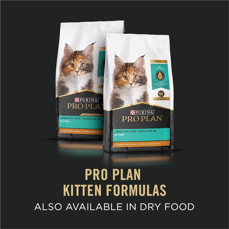Purina Pro Plan High Protein Wet Kitten Food Variety Pack, DEVELOPMENT Kitten Favorites - (2 Packs of 12) 3 oz. Cans : Pet Supplies