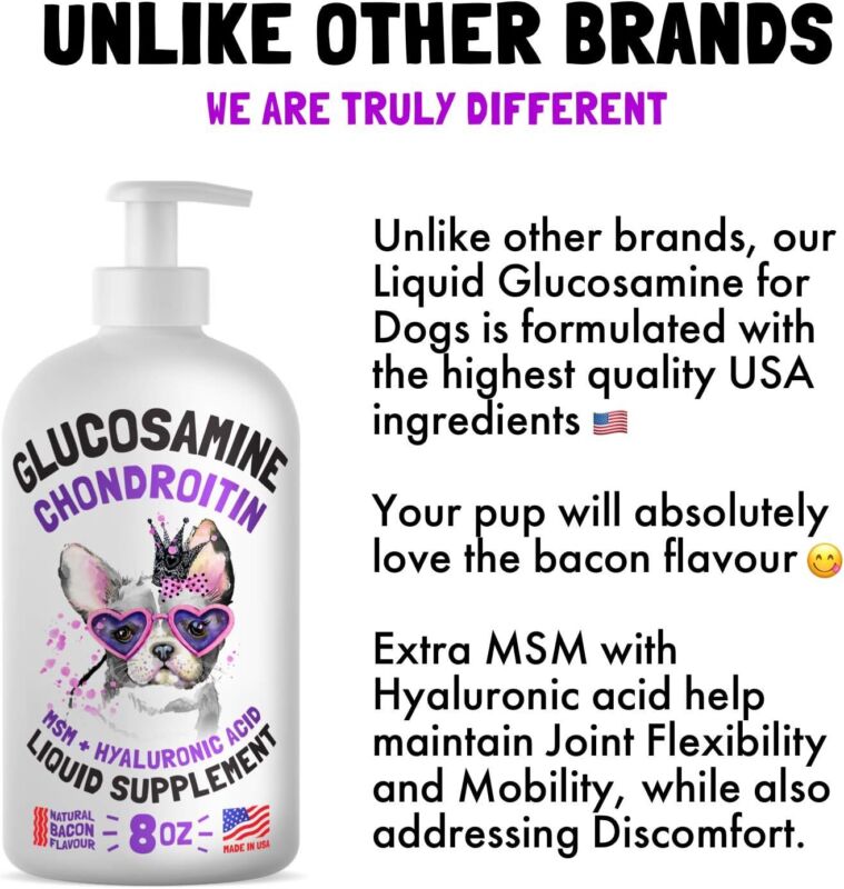 Liquid Glucosamine for Dogs Bacon Flavour with Chondroitin, MSM & Hyaluronic Acid K9 Supplement Hip and Joint Formula Advanced Mobility Joint Pain Relief Senior Advanced Supplement for All Breeds : Pet Supplies