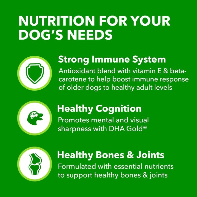 IAMS Proactive Health Healthy Aging Large Breed Dog Food for Mature and Senior Dogs with Real Chicken, 30 lb. Bag : Pet Supplies
