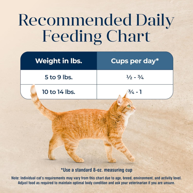 Blue Buffalo Basics Grain-Free Dry Cat Food, Skin & Stomach Care, Limited Ingredient Diet for Indoor Cats, Turkey & Potato Recipe, 11-lb. Bag