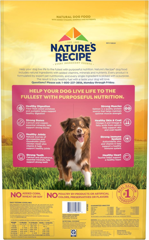 Nature’s Recipe Grain Free Salmon, Sweet Potato & Pumpkin Recipe Dry Dog Food, 24 lb. Bag : Pet Supplies