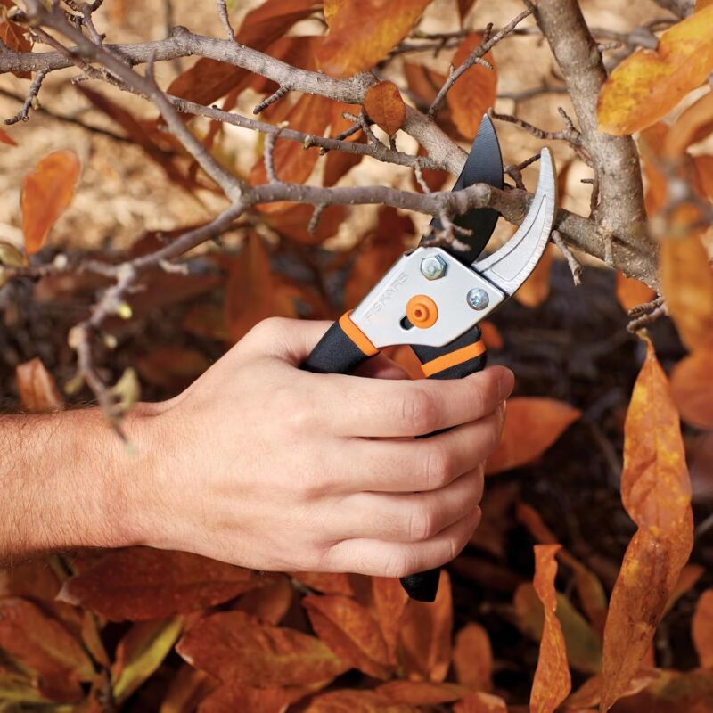 Fiskars Bypass Pruning Shears, 5/8-Inch Cut Capacity Garden Clippers, Gardening Scissors with Sharp, Rust Resistant Steel Blade : Hedge Shears : Patio, Lawn & Garden