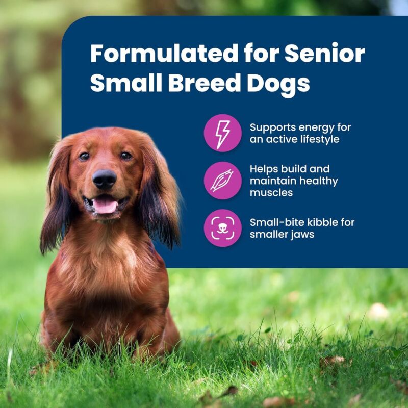 Blue Buffalo Life Protection Formula Small Breed Senior Dry Dog Food, Supports Joint Health and Immunity, Made with Natural Ingredients, Chicken & Brown Rice Recipe, 15-lb. Bag : Pet Supplies