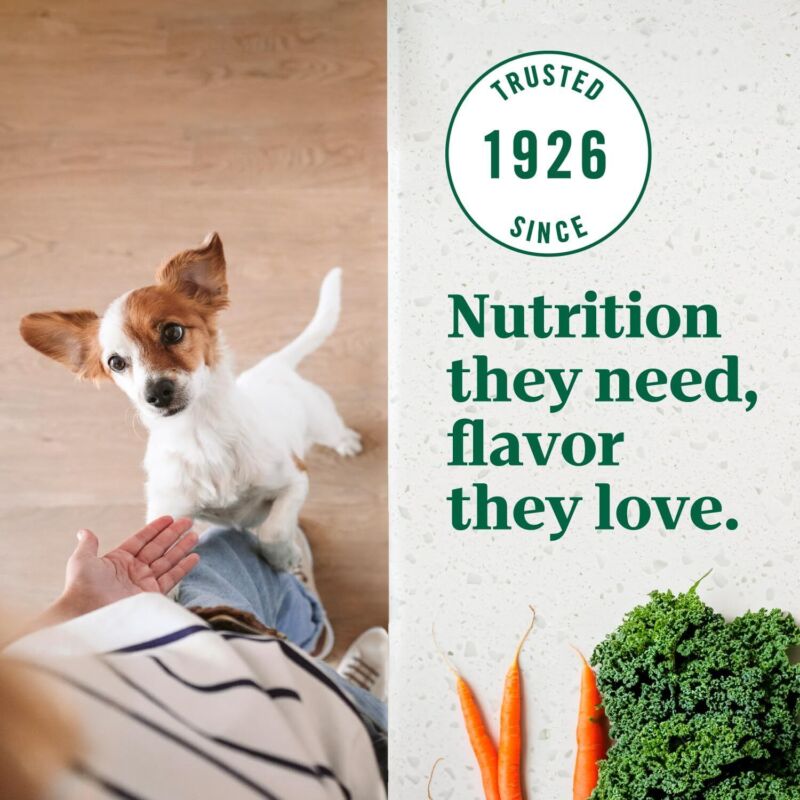 Nutro Ultra Adult Toy Breed Dry Dog Food, Trio of Proteins from Chicken, Lamb and Salmon, 3.5 lb. Bag : Pet Supplies