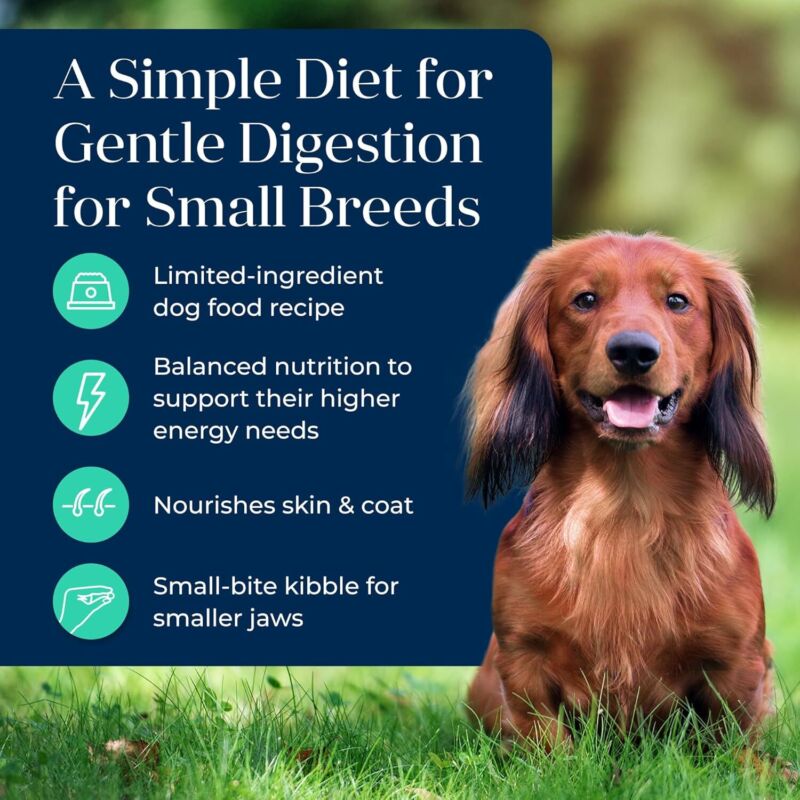 Blue Buffalo Basics Grain-Free Dry Dog Food for Small Breed Adult Dogs, Limited Ingredient Diet, Lamb Recipe, 11-lb. Bag : Pet Supplies