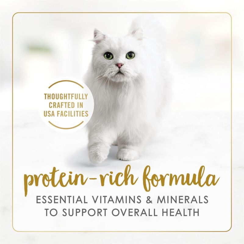 Purina Fancy Feast Gravy Lovers Poultry and Beef Grilled Gourmet Wet Cat Food Variety Pack - (Pack of 24) 3 oz. Cans : Canned Wet Pet Food : Pet Supplies