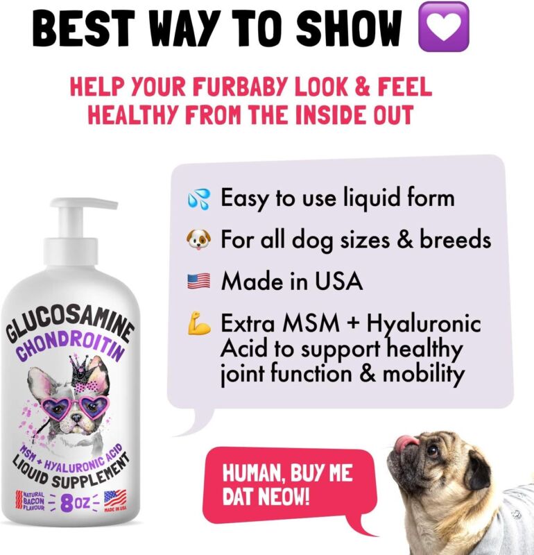 Liquid Glucosamine for Dogs Bacon Flavour with Chondroitin, MSM & Hyaluronic Acid K9 Supplement Hip and Joint Formula Advanced Mobility Joint Pain Relief Senior Advanced Supplement for All Breeds : Pet Supplies