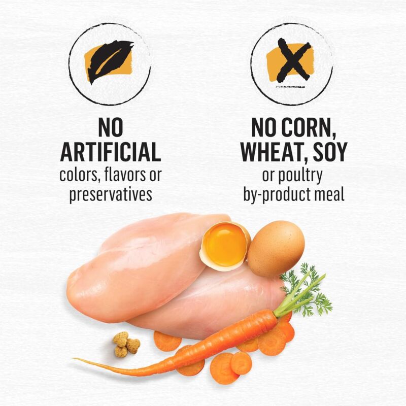 Purina Beyond Grain Free White Meat Chicken and Egg Recipe Natural Cat Food High Protein Cat Food Dry Formula - 5 lb. Bag : Pet Supplies