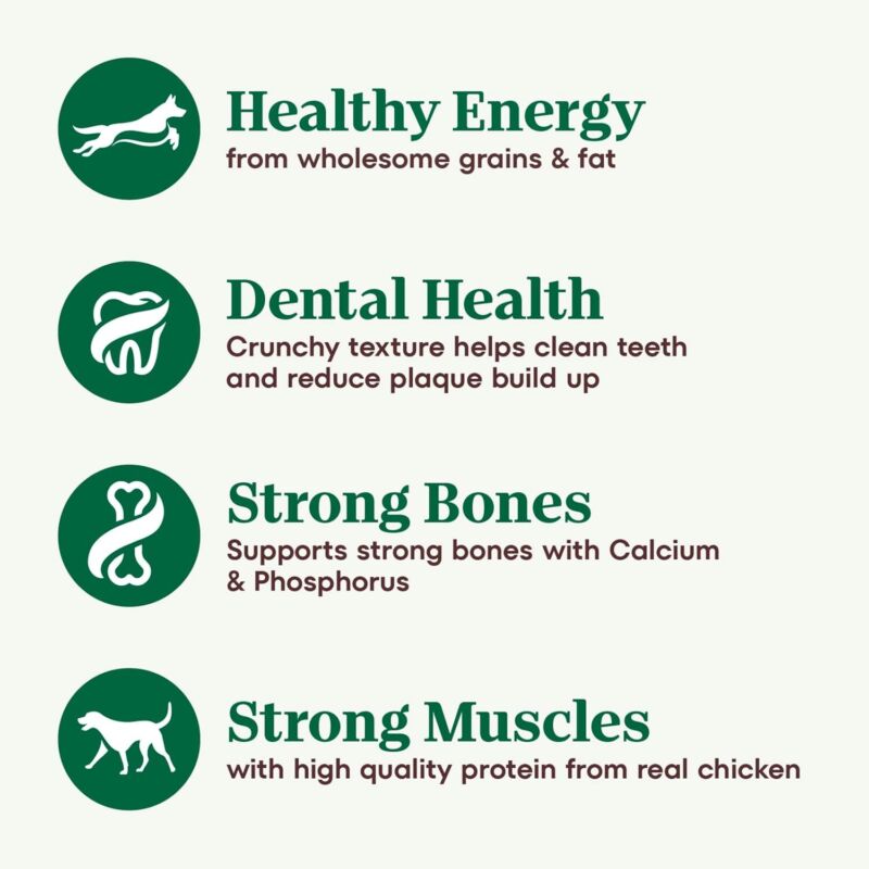Nutro Natural Choice Adult Small Breed Dry Dog Food, Chicken and Brown Rice, 5 lbs. : Pet Supplies