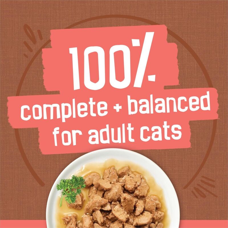 Purina Friskies Extra Gravy Wet Cat Food Chunky 24ct Variety Pack (With Chicken, Turkey, Salmon, Beef) - (Pack of 24) 5.5 oz. Cans : Pet Supplies