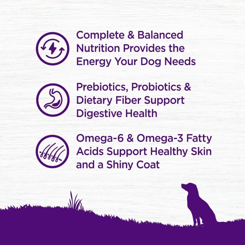 Wellness Complete Health Dry Dog Food, Wholesome Grains, Natural, Whitefish & Sweet Potato, (5-Pound Bag) : Pet Supplies