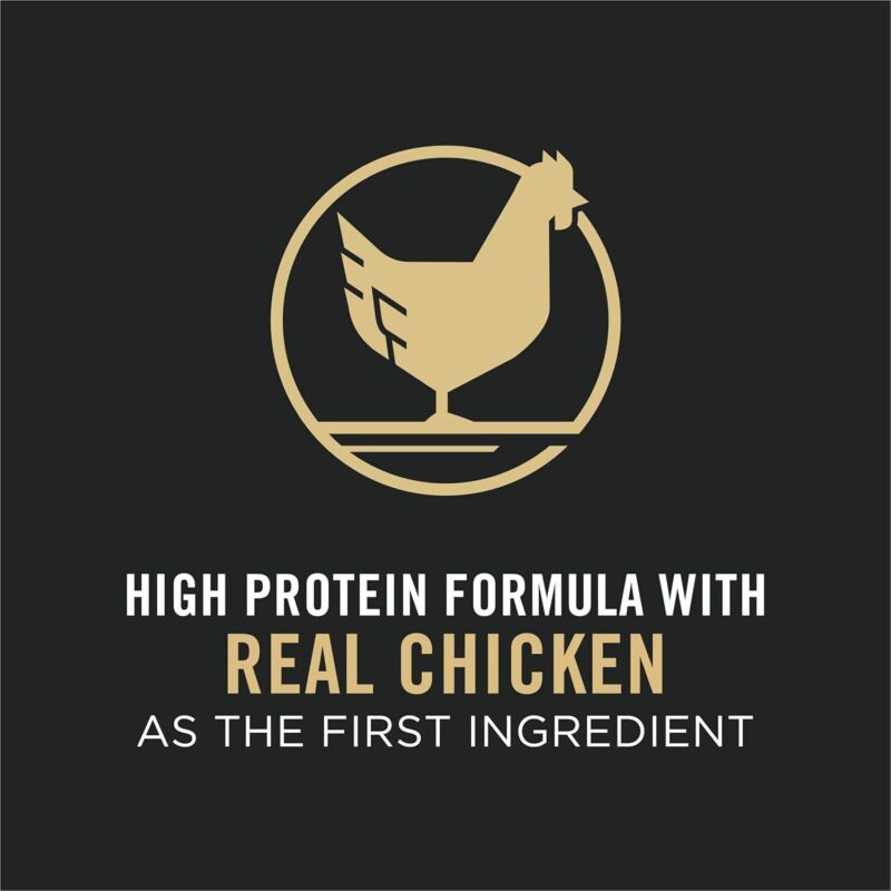 Purina Pro Plan With Probiotics, High Protein Dry Kitten Food, Shredded Blend Chicken & Rice Formula - 3 lb. Bag